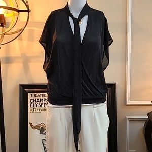 NWOT Sparkly Metallic and Black Sheer Tie Neck Blouse
